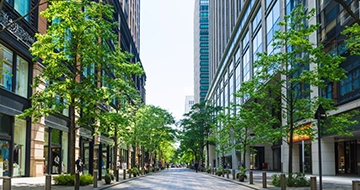 東京で成長できる未経験の転職・求人特集